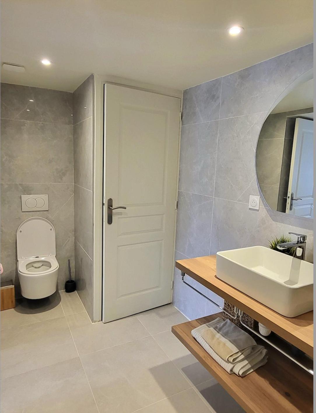 Apartamento Rochetaille Petit Havre De Paix Saint-Etienne  Exterior foto