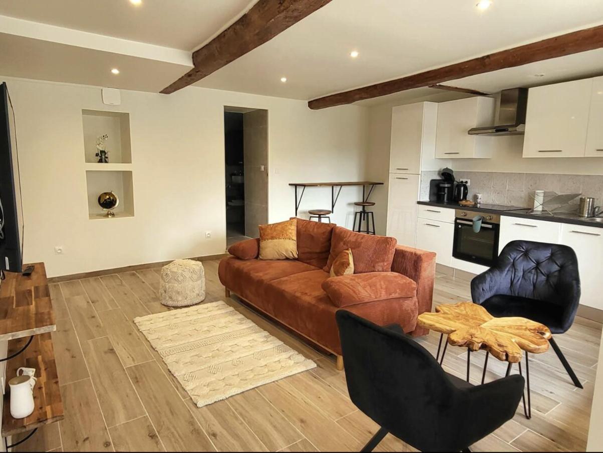 Apartamento Rochetaille Petit Havre De Paix Saint-Etienne  Exterior foto